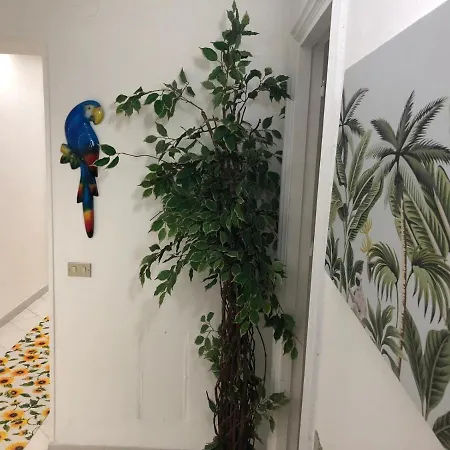 Amazonia Guest house *